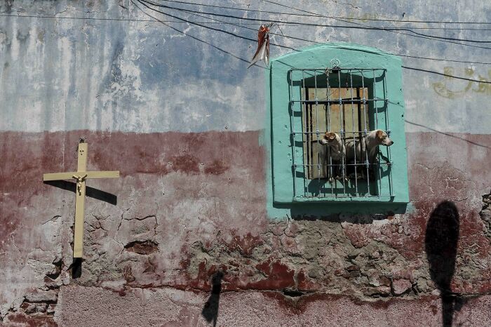 147 Stunning Street Photos That Capture Life’s Most Authentic Moments