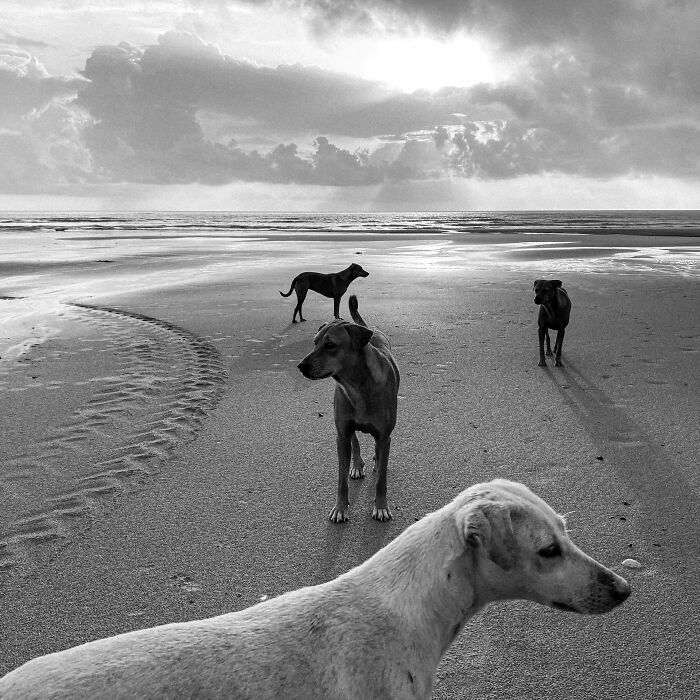 147 Stunning Street Photos That Capture Life’s Most Authentic Moments