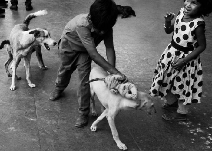 147 Stunning Street Photos That Capture Life’s Most Authentic Moments