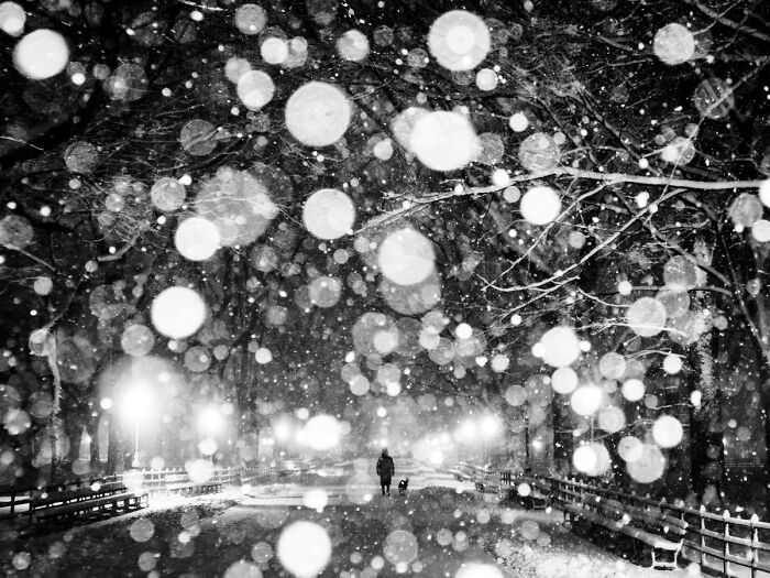 147 Stunning Street Photos That Capture Life’s Most Authentic Moments