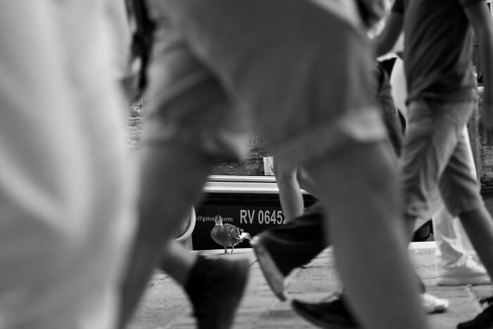 147 Stunning Street Photos That Capture Life’s Most Authentic Moments