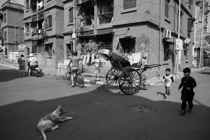 147 Stunning Street Photos That Capture Life’s Most Authentic Moments