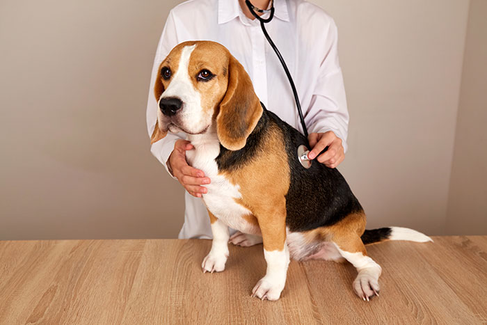 50 Times People Self-Diagnosed Themselves And Doctors Had To Tell Them How Wrong They Were