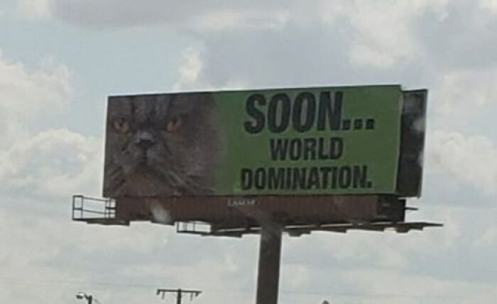 69 Funny And Weird Billboards That Someone Actually Paid For To Be Made
