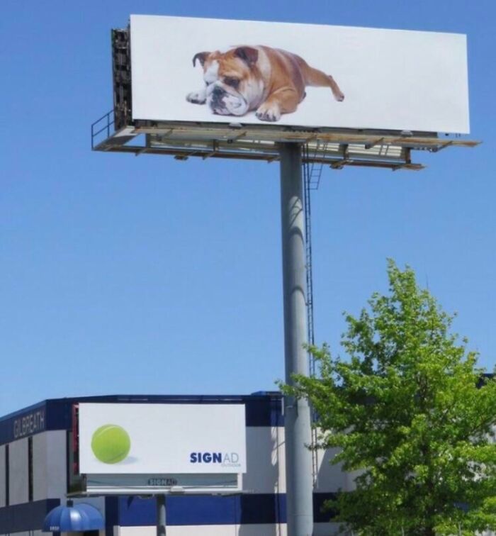 69 Funny And Weird Billboards That Someone Actually Paid For To Be Made
