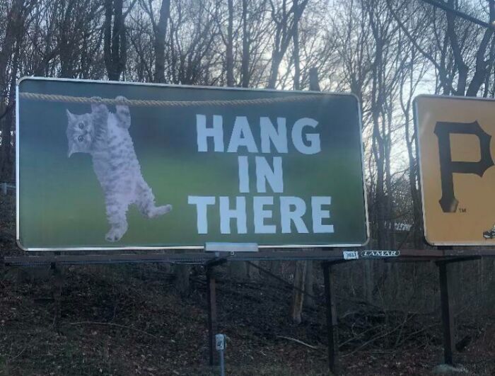 69 Funny And Weird Billboards That Someone Actually Paid For To Be Made