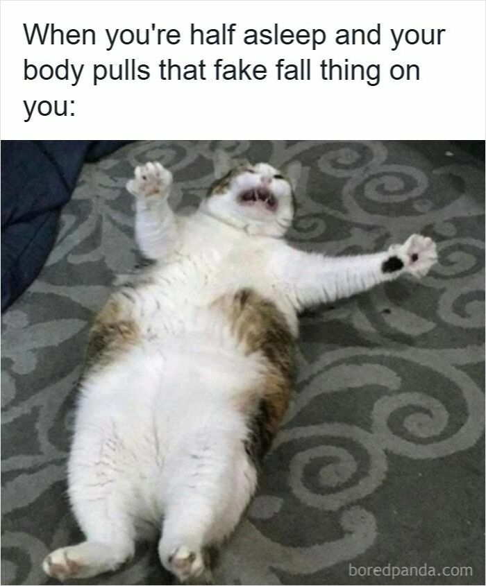 77 Funny Insomnia Memes For When Your Brain Won’t Just Shut Up And Cooperate
