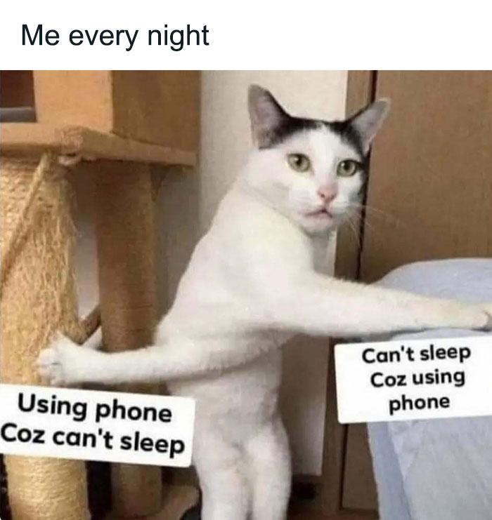 77 Funny Insomnia Memes For When Your Brain Won’t Just Shut Up And Cooperate
