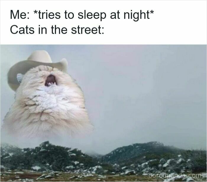 77 Funny Insomnia Memes For When Your Brain Won’t Just Shut Up And Cooperate