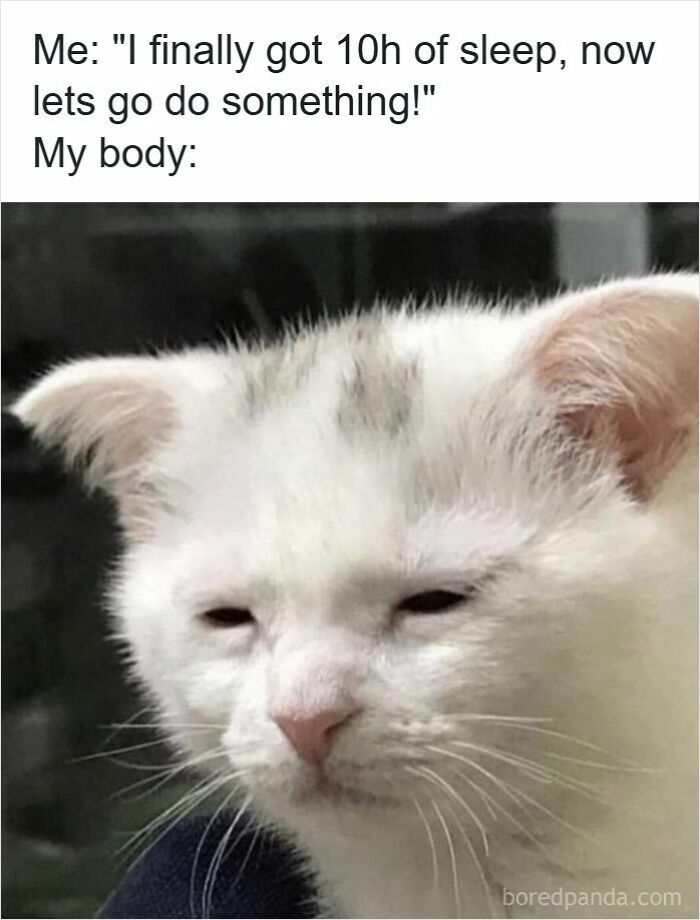 77 Funny Insomnia Memes For When Your Brain Won’t Just Shut Up And Cooperate