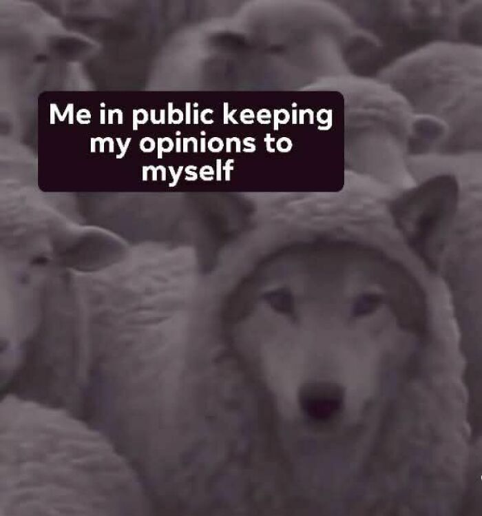&#8220;Evil Thoughts&#8221;: 90 Unhinged Memes That Might Confuse You Into Laughing