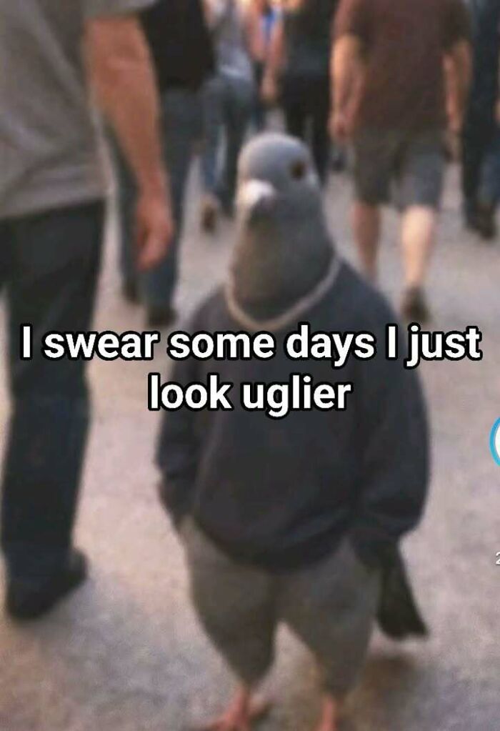 &#8220;Evil Thoughts&#8221;: 90 Unhinged Memes That Might Confuse You Into Laughing