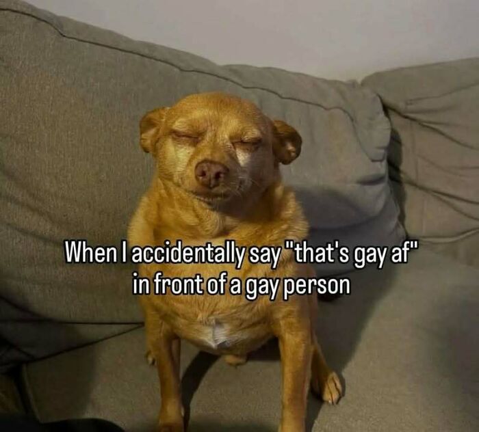 &#8220;Evil Thoughts&#8221;: 90 Unhinged Memes That Might Confuse You Into Laughing