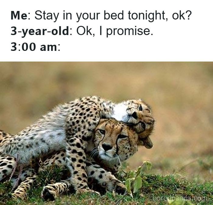 130 Relatable Parenting Memes To Scroll Through Because Therapy Is Out Of Budget