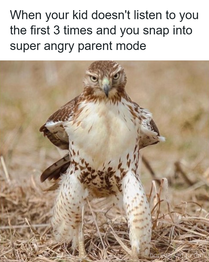 130 Relatable Parenting Memes To Scroll Through Because Therapy Is Out Of Budget