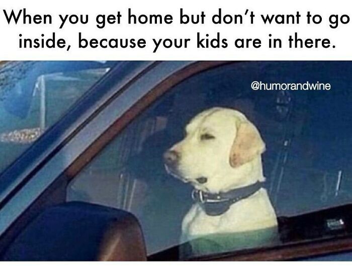 130 Relatable Parenting Memes To Scroll Through Because Therapy Is Out Of Budget