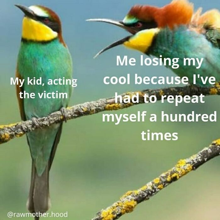 130 Relatable Parenting Memes To Scroll Through Because Therapy Is Out Of Budget