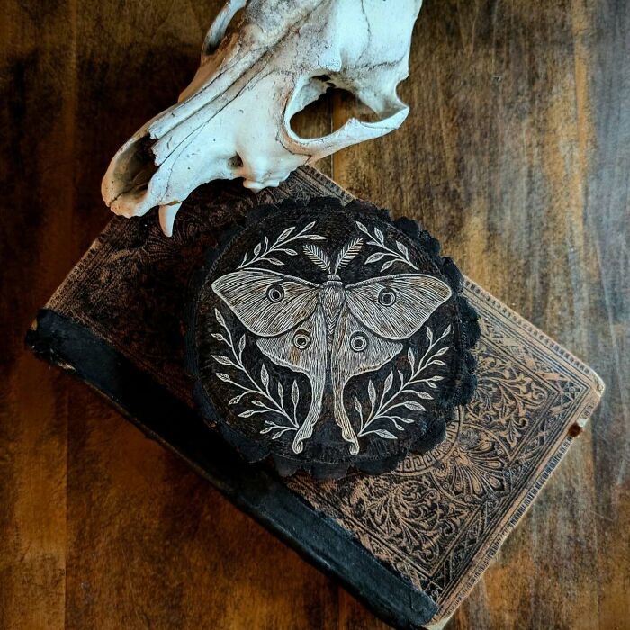 Canadian Artist Kat Slota Uses Fire To Create Stunning Wood-Burned Artworks (44 Pics)
