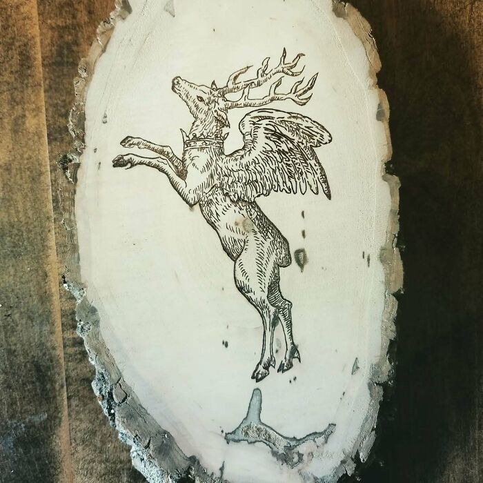 Canadian Artist Kat Slota Uses Fire To Create Stunning Wood-Burned Artworks (44 Pics)