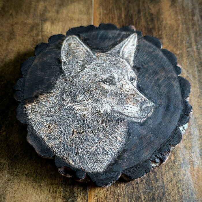 Canadian Artist Kat Slota Uses Fire To Create Stunning Wood-Burned Artworks (44 Pics)