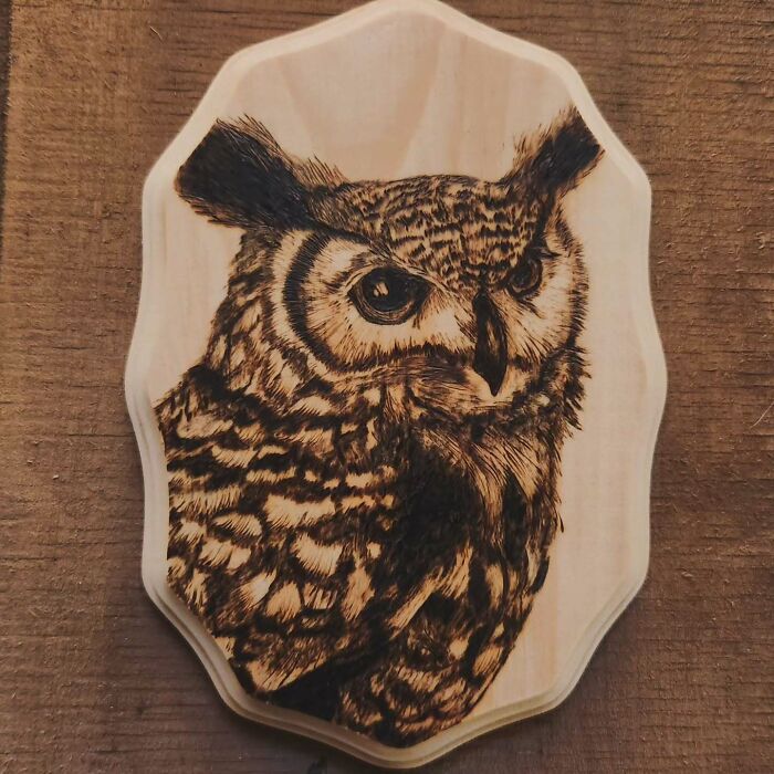 Canadian Artist Kat Slota Uses Fire To Create Stunning Wood-Burned Artworks (44 Pics)