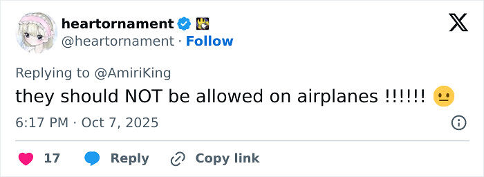 &#8220;Insufferable&#8221;: Outrage As Woman Refuses To Let Passengers Exit Until Her Daughter Goes First