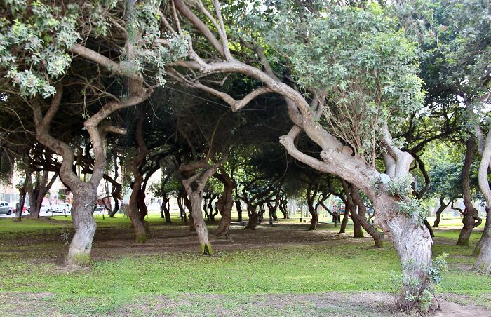 I Visited San Borja Sur Park In Lima, Peru With My Sisters, And Here Are The Highlights From Our Trip I Visited San Borja Sur Park In Lima, Peru With My Sisters, And Here Are The Highlights From Our Trip
