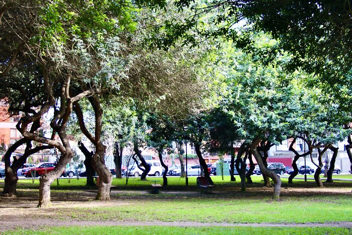 I Visited San Borja Sur Park In Lima, Peru With My Sisters, And Here Are The Highlights From Our Trip I Visited San Borja Sur Park In Lima, Peru With My Sisters, And Here Are The Highlights From Our Trip