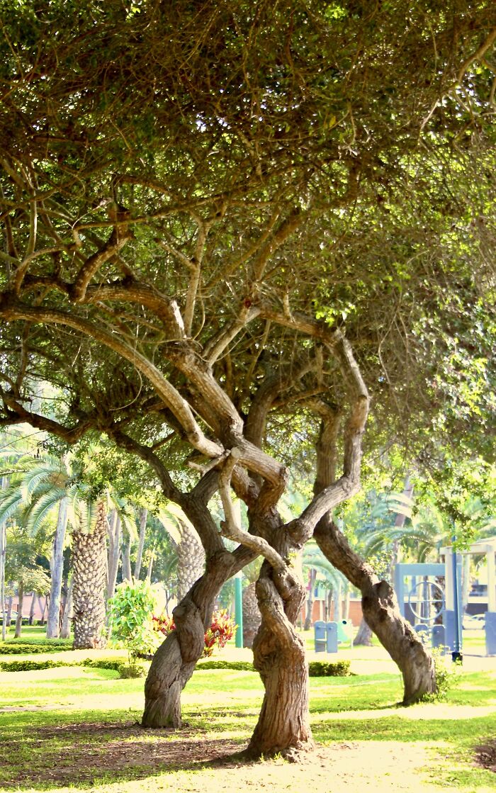 I Visited San Borja Sur Park In Lima, Peru With My Sisters, And Here Are The Highlights From Our Trip I Visited San Borja Sur Park In Lima, Peru With My Sisters, And Here Are The Highlights From Our Trip