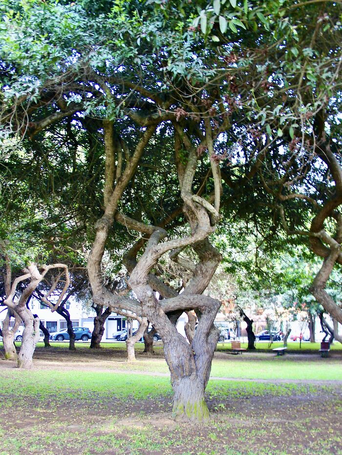 I Visited San Borja Sur Park In Lima, Peru With My Sisters, And Here Are The Highlights From Our Trip I Visited San Borja Sur Park In Lima, Peru With My Sisters, And Here Are The Highlights From Our Trip