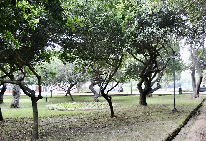 I Visited San Borja Sur Park In Lima, Peru With My Sisters, And Here Are The Highlights From Our Trip I Visited San Borja Sur Park In Lima, Peru With My Sisters, And Here Are The Highlights From Our Trip