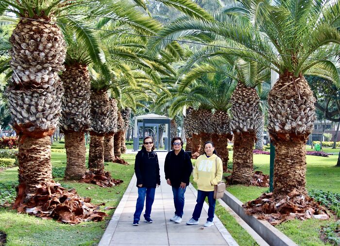 I Visited San Borja Sur Park In Lima, Peru With My Sisters, And Here Are The Highlights From Our Trip I Visited San Borja Sur Park In Lima, Peru With My Sisters, And Here Are The Highlights From Our Trip