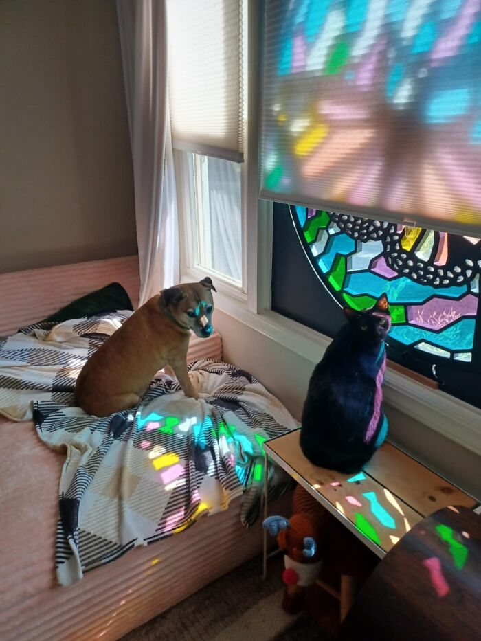 Hey Pandas, Show Me Your Beloved Pets