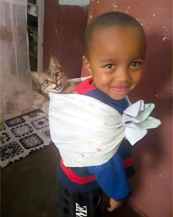 Cats Make The World A Better Place Just By Existing And These 78 Pics Prove It