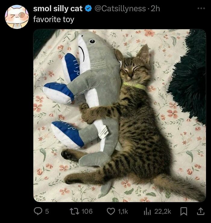 Cats Make The World A Better Place Just By Existing And These 78 Pics Prove It