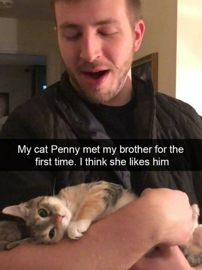 Cats Make The World A Better Place Just By Existing And These 78 Pics Prove It