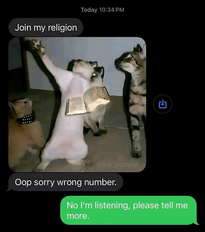 Cats Make The World A Better Place Just By Existing And These 78 Pics Prove It