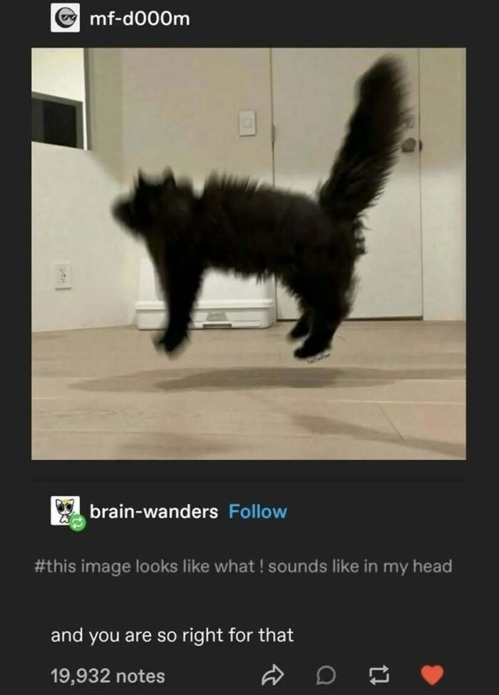 Cats Make The World A Better Place Just By Existing And These 78 Pics Prove It