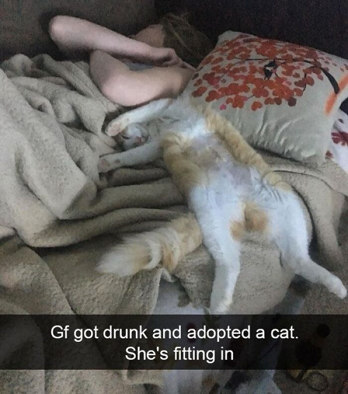 Cats Make The World A Better Place Just By Existing And These 78 Pics Prove It