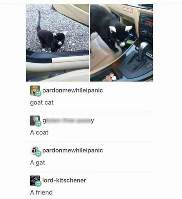 Cats Make The World A Better Place Just By Existing And These 78 Pics Prove It