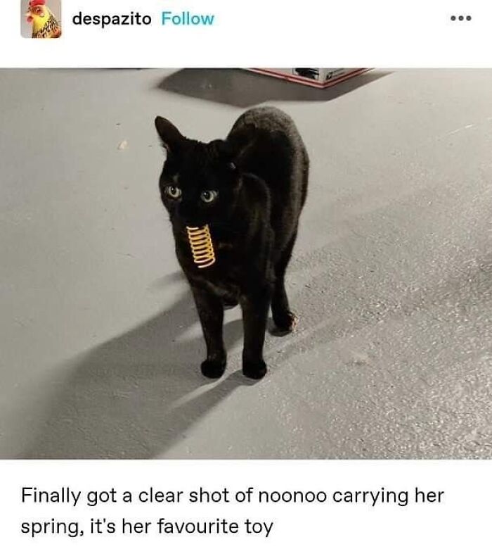 Cats Make The World A Better Place Just By Existing And These 78 Pics Prove It
