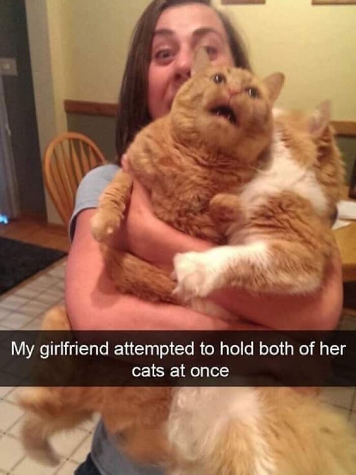 Cats Make The World A Better Place Just By Existing And These 78 Pics Prove It