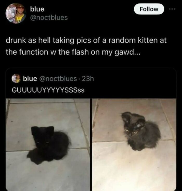 Cats Make The World A Better Place Just By Existing And These 78 Pics Prove It