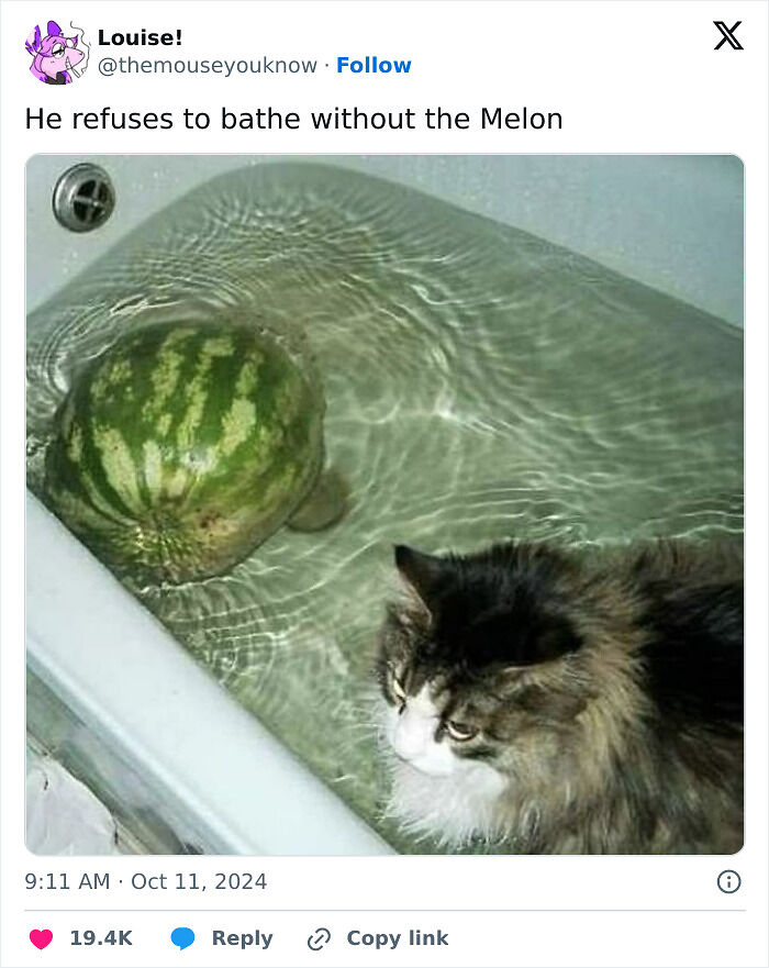 Cats Make The World A Better Place Just By Existing And These 78 Pics Prove It