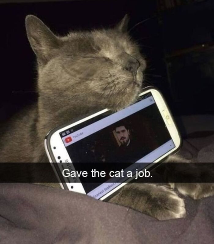 Cats Make The World A Better Place Just By Existing And These 78 Pics Prove It