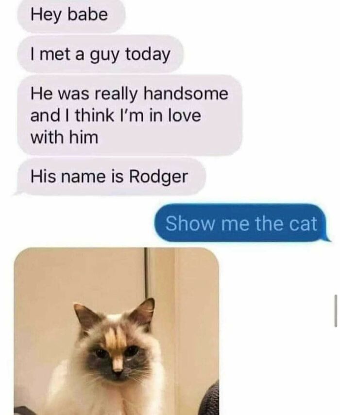 Cats Make The World A Better Place Just By Existing And These 78 Pics Prove It