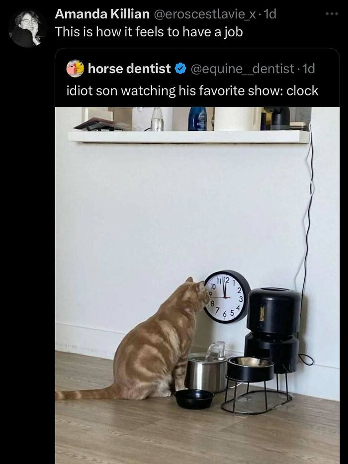 Cats Make The World A Better Place Just By Existing And These 78 Pics Prove It
