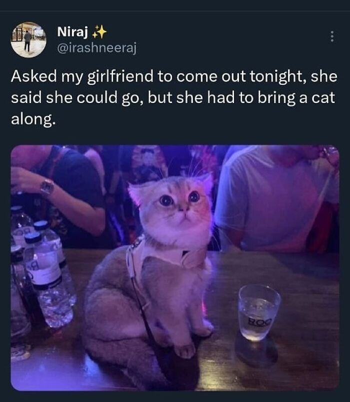 Cats Make The World A Better Place Just By Existing And These 78 Pics Prove It
