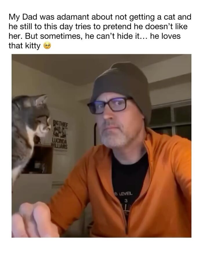 Cats Make The World A Better Place Just By Existing And These 78 Pics Prove It