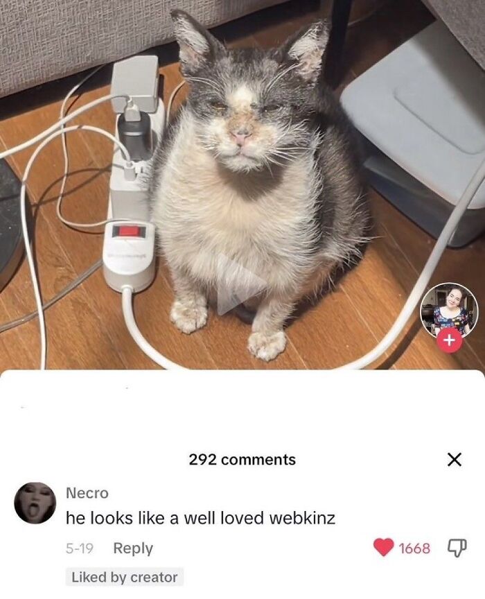 Cats Make The World A Better Place Just By Existing And These 78 Pics Prove It